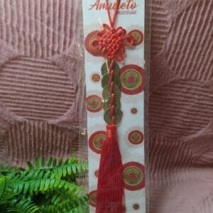Pendente Feng Shui 5 Moedas